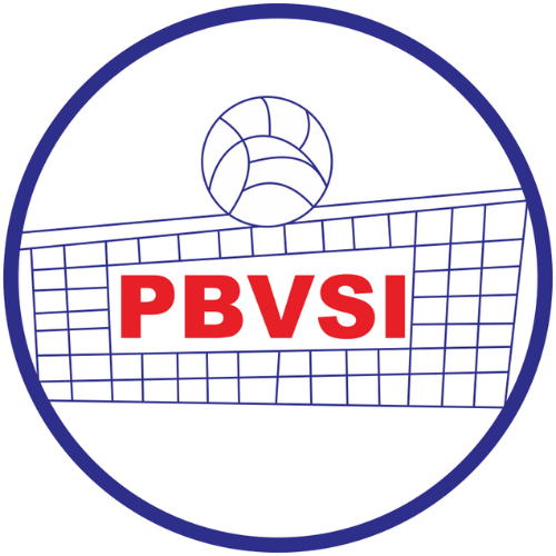 Bola Voli
